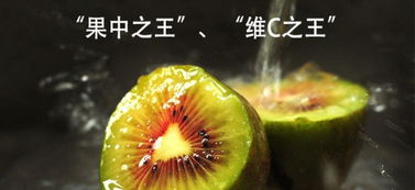 紅心獼猴桃合作社 現(xiàn)摘現(xiàn)發(fā)，開啟新鮮水果批發(fā)零售新體驗